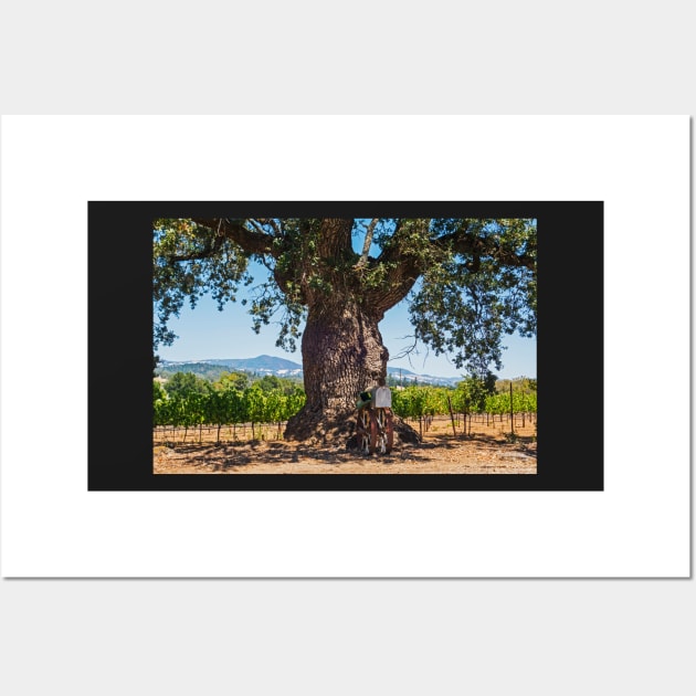 Sonoma Valley Tree Wall Art by WayneOxfordPh